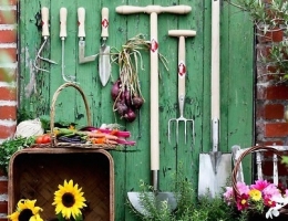 potager sur balcon