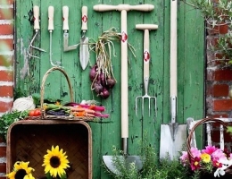 potager sur balcon